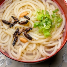 こおろぎのせうどん