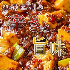 麻婆豆腐 袁（えん）・総料理長