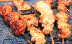 炭火焼き鳥 ワタリドリ 江南本店のコース写真