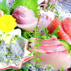 鮮魚、刺身、生しらす、日本酒 魚ゆるり。の特集写真