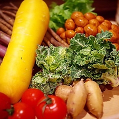 Kitchen&Bar SOL キッチンアンドバー ソルのコース写真