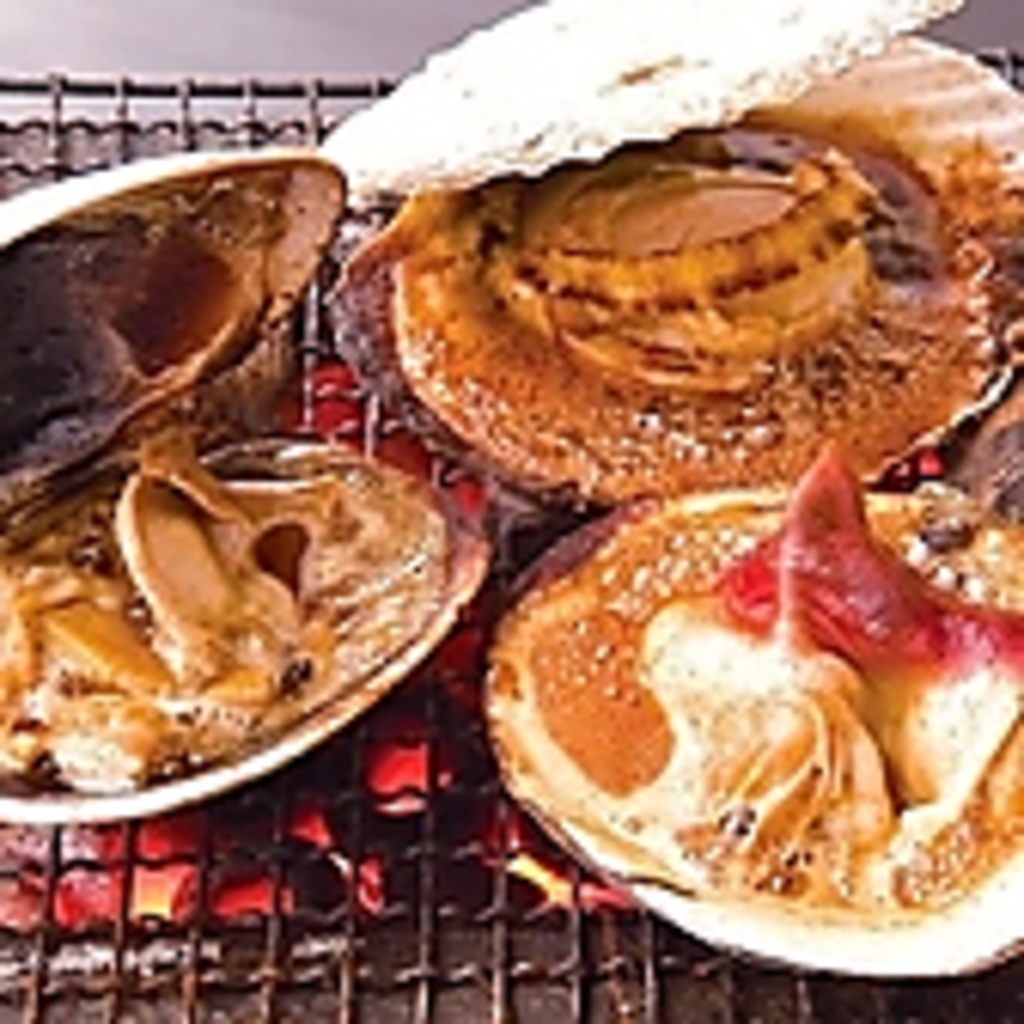 新鮮な海鮮や定番おつまみでサク飲みも大歓迎♪