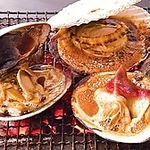 新鮮な海鮮や定番おつまみでサク飲みも大歓迎♪