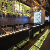 Acqua Verde アクアヴェルデの雰囲気2