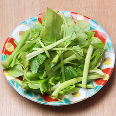 パクチー小皿