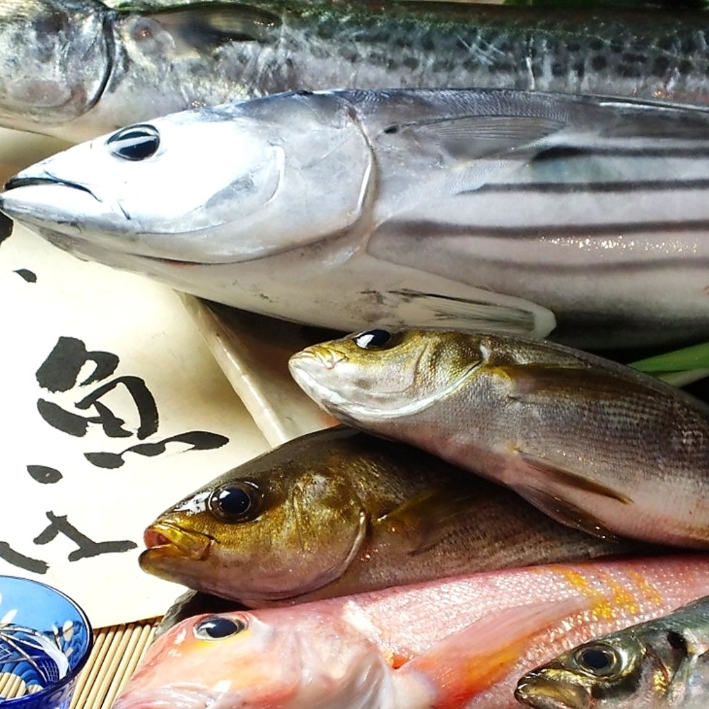 独自の仕入れルートで『安くて旨い！！』を実現！一度来たら何度でも通いたくなる居酒屋！