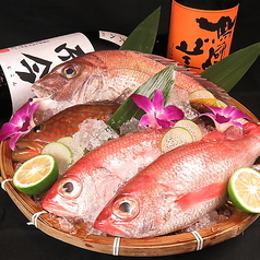 立ち呑みコリキの写真