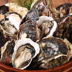 三代目網元 魚鮮水産 シャミネ鳥取店の写真2