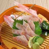 日本海が育んだ金沢の旬。五感で味わう至福のひととき。