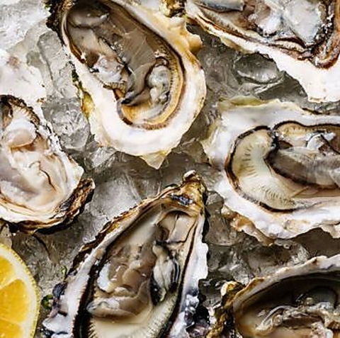 SNSで超絶話題！名物痛風鍋！生牡蠣、あん肝、雲丹、いくら、海老！徒歩0分！