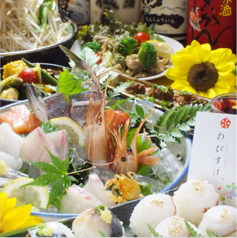 わびすけの特集写真