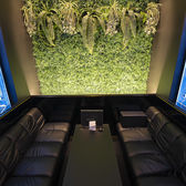 Acqua Verde アクアヴェルデの雰囲気3