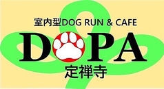 室内型DOG RUN & CAFE「DOPA」定禅寺の写真