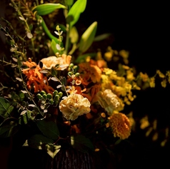 Bistro Vergo ビストロヴェルゴの特集写真