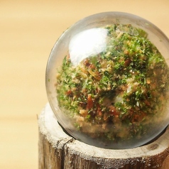 鮨 酒 肴 杉玉 西新店の特集写真