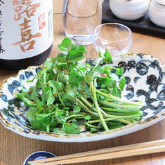 やみつきクレソンのワサビ醤油和え