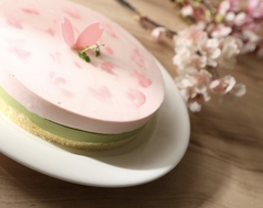 桜と抹茶のレアチーズケーキ