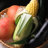 【新鮮なお野菜】お肉だけでなくお野菜にも拘りあり！鮮度抜群の新鮮なお野菜を極上のお肉と一緒にご堪能下さい。