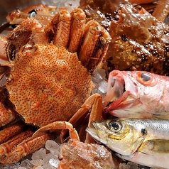 居酒屋はち丸　松任店の写真2