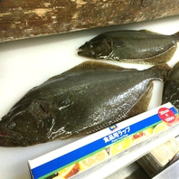 珍魚が目白押し！！店主自ら一本釣り！！