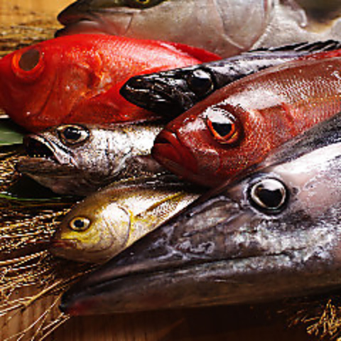 銀座 魚ばか はなれ 飯田橋 居酒屋 ホットペッパーグルメ