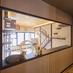 cafe 猫田屋のおすすめ料理2