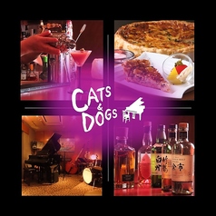 cats&dogs キャッツ&ドックス 札幌の写真