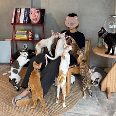 Future Pets Cat Cafe の特集写真