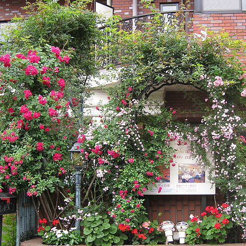 レストラン マーヴェラスパラディ白金 白金 イタリアン フレンチ ネット予約可 ホットペッパーグルメ