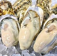 産地直送殻付き牡蠣
