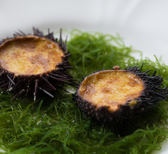 レストラン ザンビのコース写真