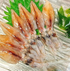 生ホタルイカ刺身