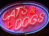 キャッツ アンド ドッグス CATS&DOGS カラオケロゴ画像