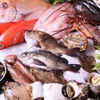東北の魚介を堪能できます。