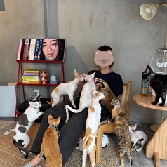 Future Pets Cat Cafe のおすすめ料理1