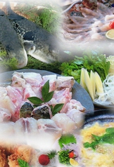 日本料理 喜備のコース写真