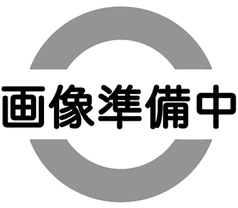 お好み鉄板・ホルモン しんさくの特集写真