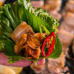 今日 鳥にする?の特集写真