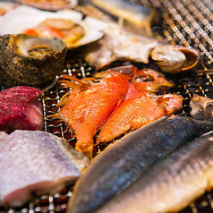 鮨酒場天王寺あべのスシトフジ　旧　地魚食堂 鯛之鯛 天王寺あべの店の特集写真