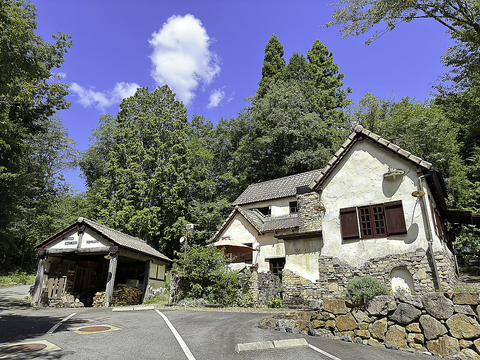 PASTA PINO パスタ ピーノの写真