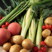 【こだわり食材の紹介】美味しくて安全なお野菜を召し上がって頂く為に、味はもちろんのこと、お野菜の生産環境も安心な契約農家さんから新鮮なお野菜を届けて頂いております。