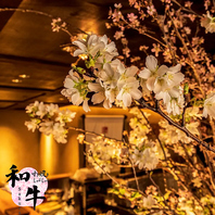 《満開の桜に包まれた洗練された和空間で非日常を◎》