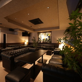 ビストロ サリチェ 福井順化の雰囲気2