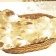プレーンナン