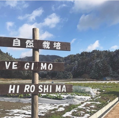 無農薬野菜を自社農地から直送しております！