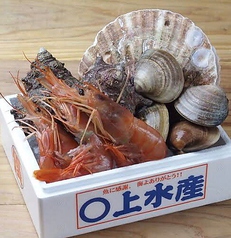 姫路のれん街 姫路 酒肴 魚寿司 うおずしのコース写真