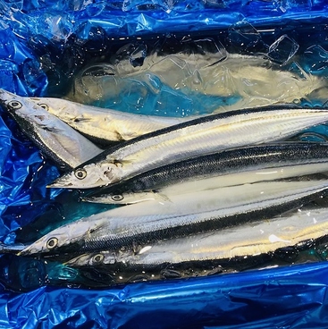 炭火やきとん焼鳥 あかね家2号店の雰囲気1