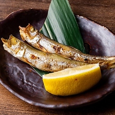 北海道直送 本ししゃも焼き 二尾