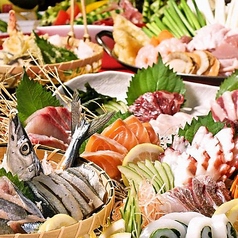 梅田まぐろ市場 梅田本店特集写真1