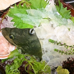 活かわはぎ　生肝付き